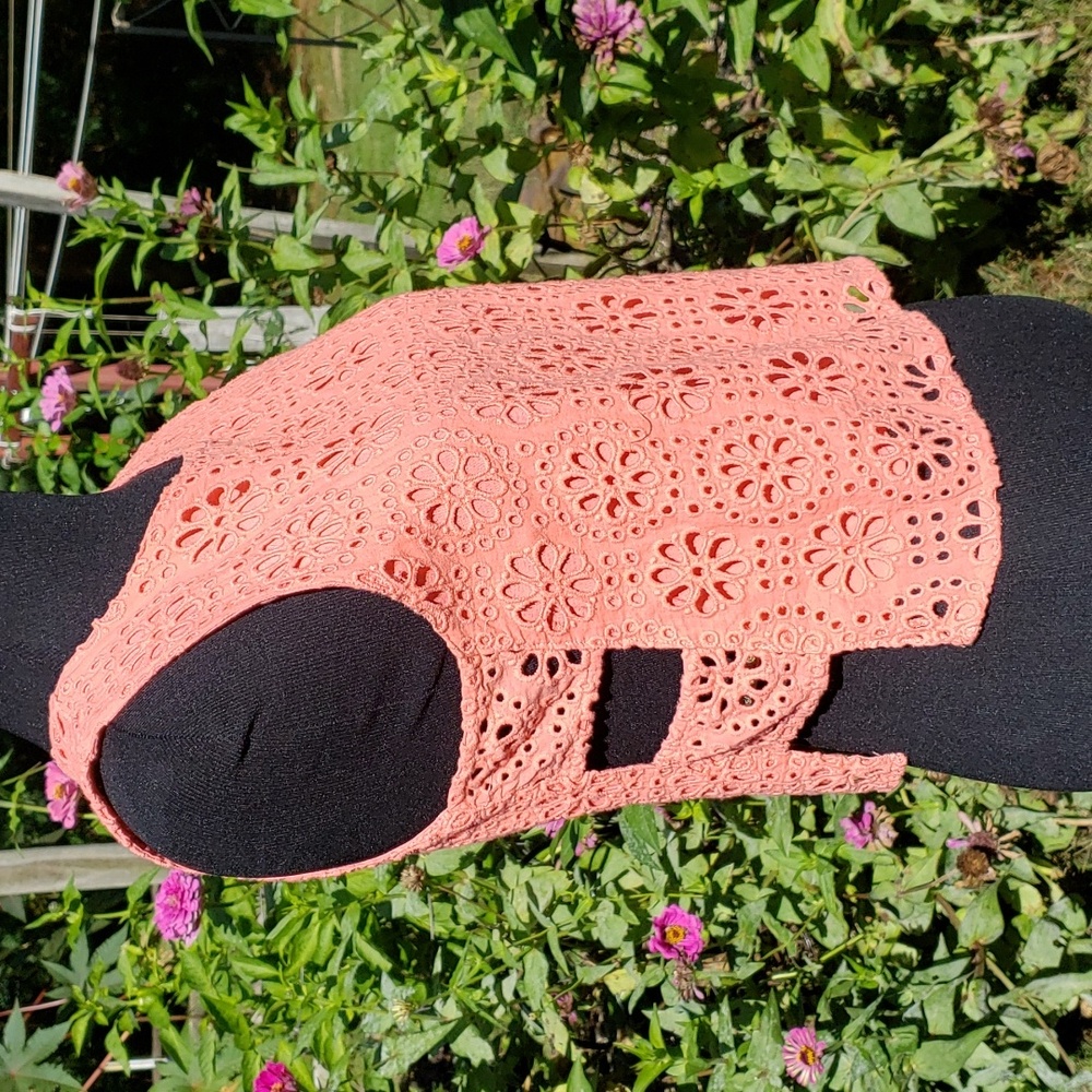 Abercrombie Lace Top